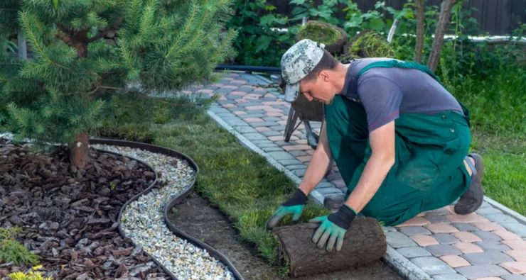 7919a5dbd80ba89b65d68d26c48a5b9e2fe34d5a