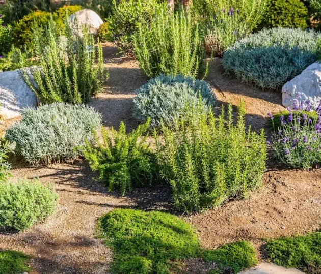 bb2ef9114088561a225add0dd8c49883a386c49a