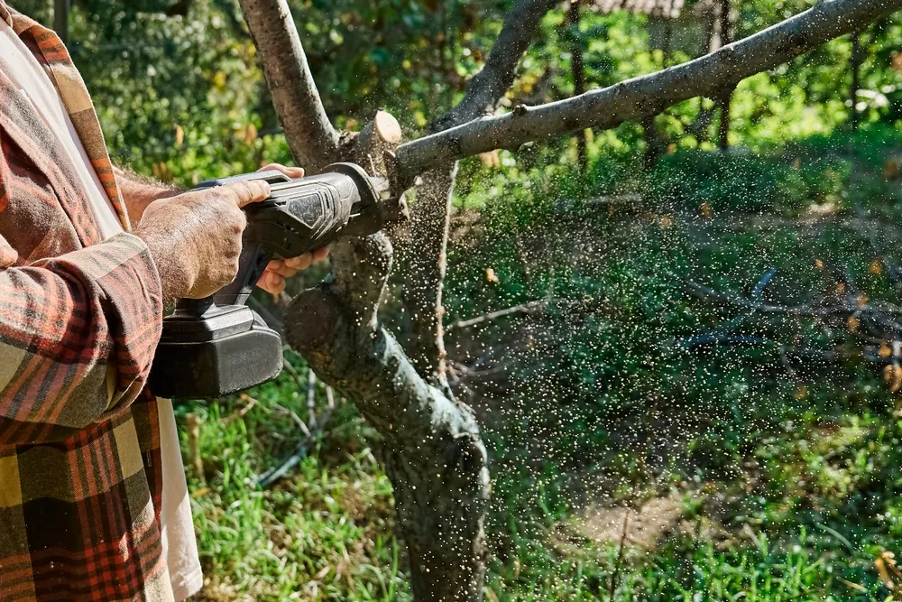 94e09a4902a6882c0024c0d9cef54915d566a0ab